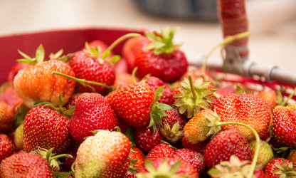 Similar image 21770007