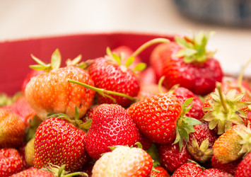 Similar image 21770008