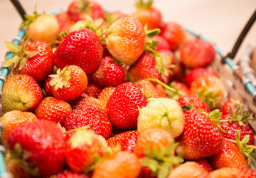 Similar image 21770009