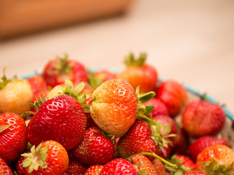 Similar image 21770010