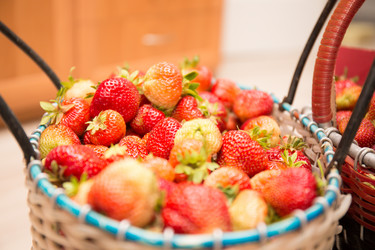 Similar image 21770011