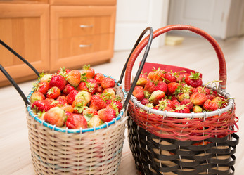 Similar image 21770015