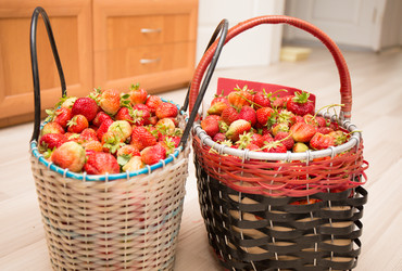 Similar image 21770016