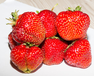 Similar image 21770021