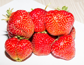 Similar image 21770023