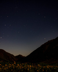 Similar image 21785190