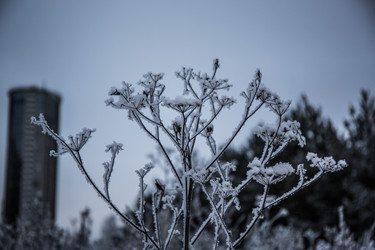 Similar image 21771773