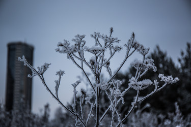 Similar image 21771774