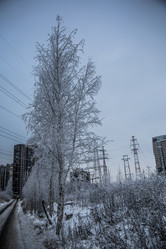 Similar image 21771775