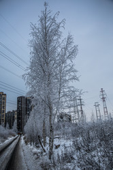 Similar image 21771776