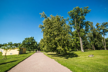 Similar image 21771814