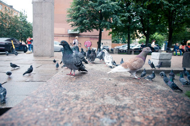 Similar image 21771826