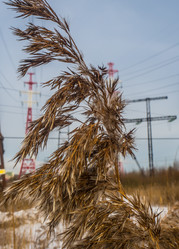 Similar image 21771863