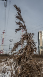 Similar image 21771864