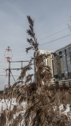 Similar image 21771866