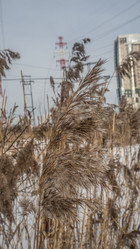 Similar image 21771867