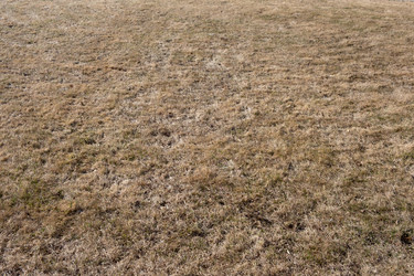 Similar image 21767863