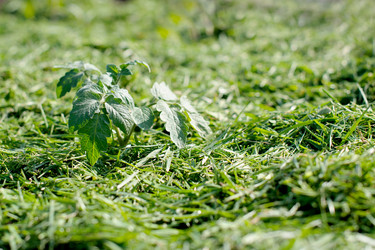 Similar image 21767419