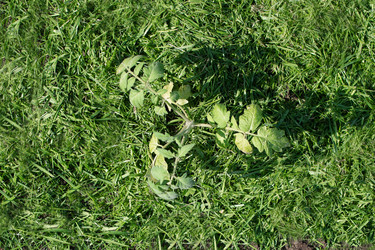 Similar image 21767885