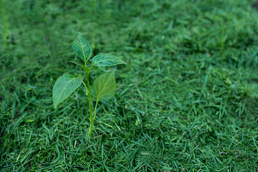 Similar image 21767888