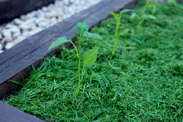 Similar image 21767889