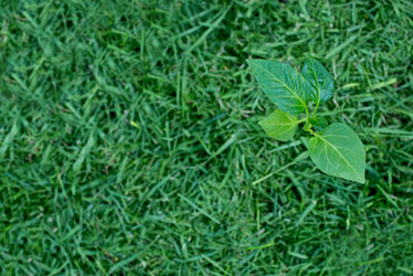 Similar image 21767891