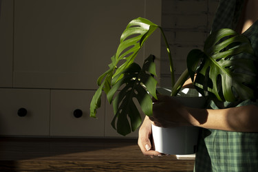 Similar image 21767892