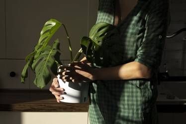 Similar image 21767893