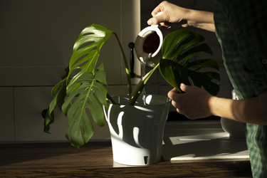 Similar image 21767894