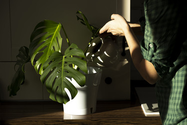 Similar image 21767895