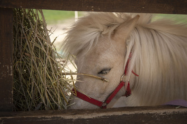 Similar image 21781965