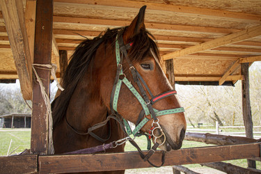 Similar image 21781966