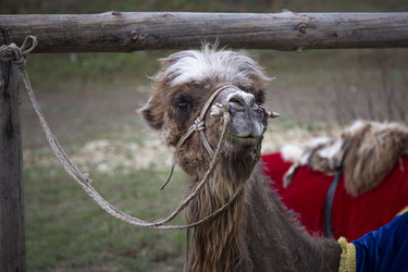 Similar image 21781967