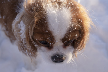 Similar image 21767903