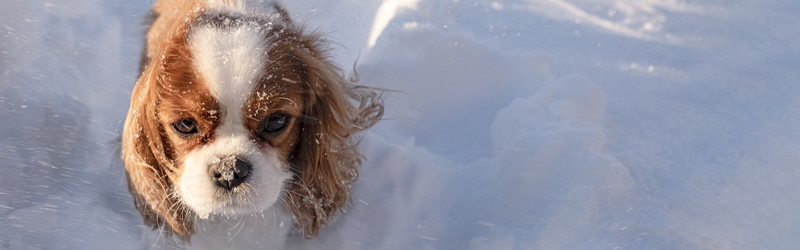 Similar image 21767904