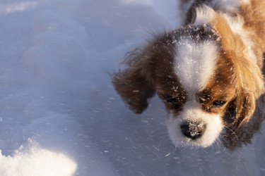 Similar image 21767905