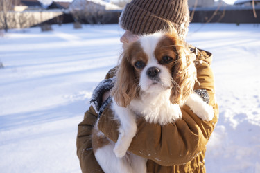 Similar image 21767906