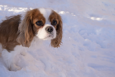 Similar image 21767907