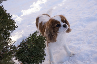 Similar image 21767910