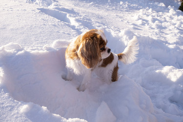 Similar image 21767911