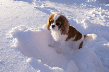 Similar image 21767912