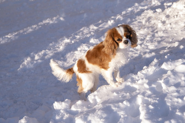 Similar image 21767913