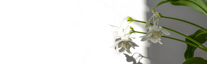 Similar image 21767914