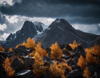 Similar image 21777014