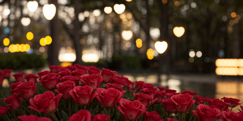 Similar image 21777207