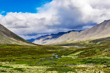 Similar image 21767442