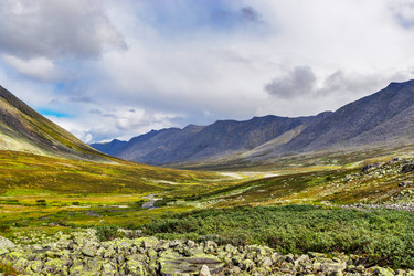 Similar image 21767444