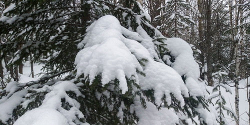 Similar image 21771459