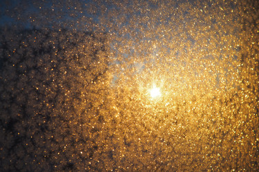 Similar image 21769149