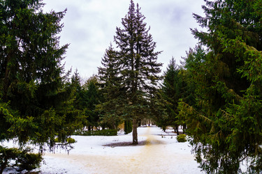 Similar image 21768865